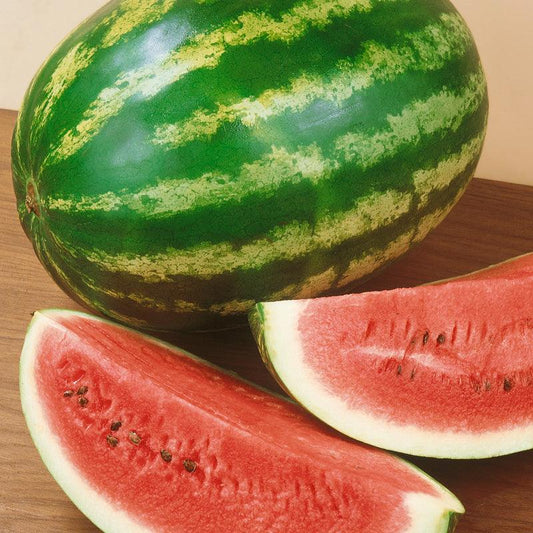 Crimson Sweet Watermelon Seeds (Organic), Garden from Grow Organic
