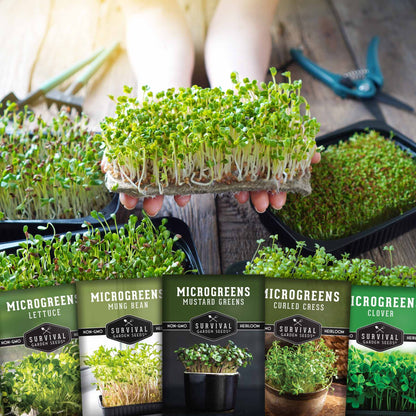 Microgreens Seeds Variety Pack – 5 Heirloom Non-GMO Microgreen Seed Packs for Indoor Growing & Sprouting