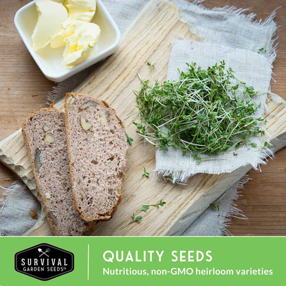Microgreens Seeds Variety Pack – 5 Heirloom Non-GMO Microgreen Seed Packs for Indoor Growing & Sprouting