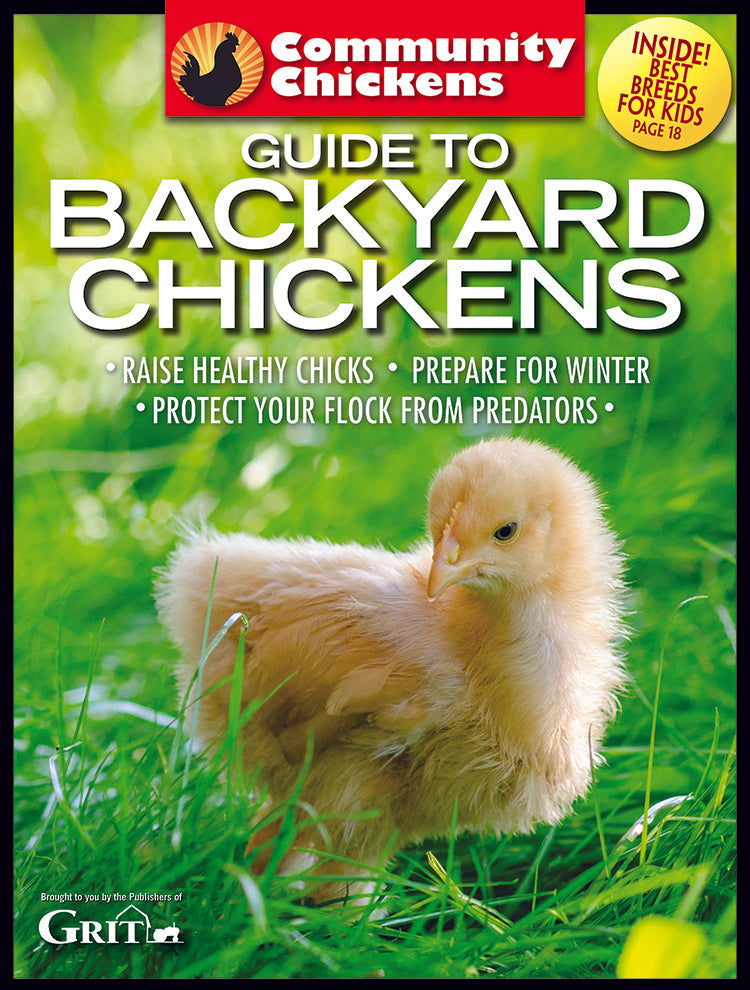 Community Chickens Guide To Backyard Chickens Set, Magazines from Mother Earth News