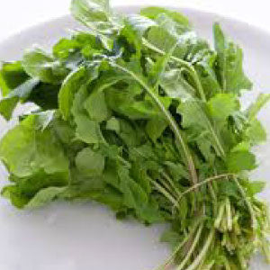 ARUGULA Seeds, Rocket