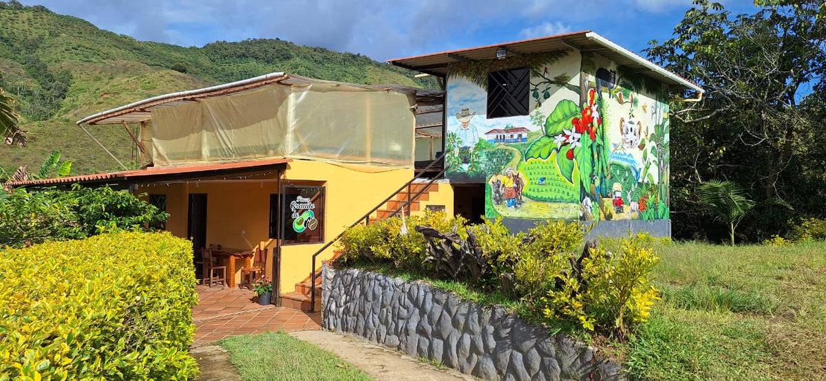 Chiroso - Washed, image 9 of 10
