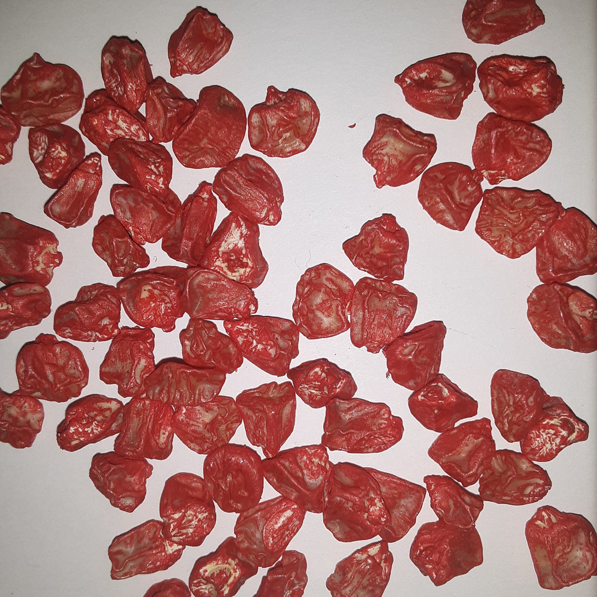 Bodacious RM Yellow Sweet Corn Treated Seeds, image 2 of 8
