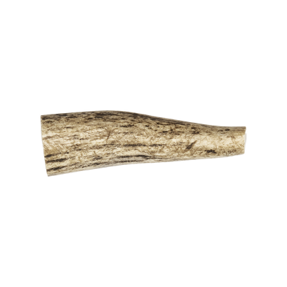 Antler Chew Dog Treat, Pet from Pearson Ranch Jerky