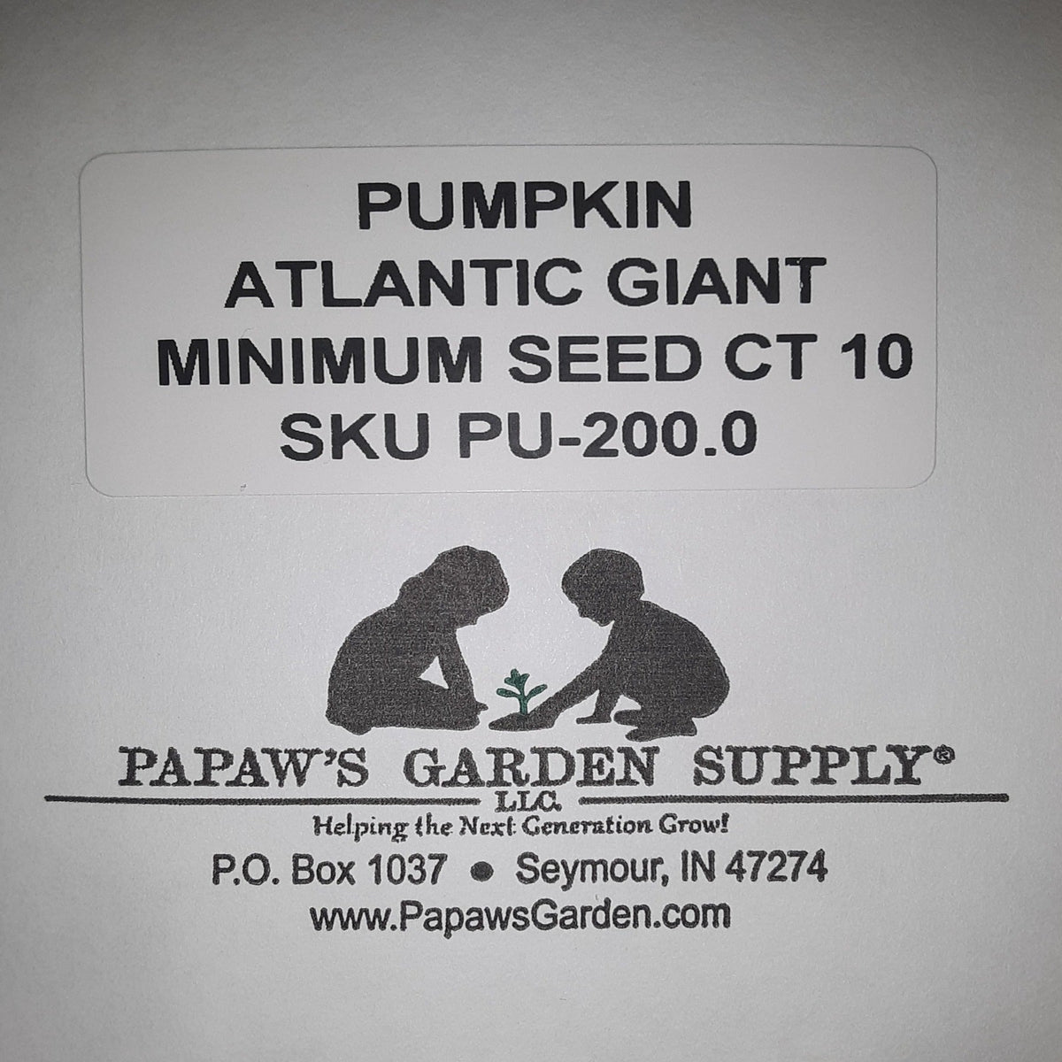 Atlantic Giant Pumpkin Seeds, image 3 of 5