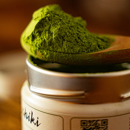 Yabukita Single Cultivar Matcha