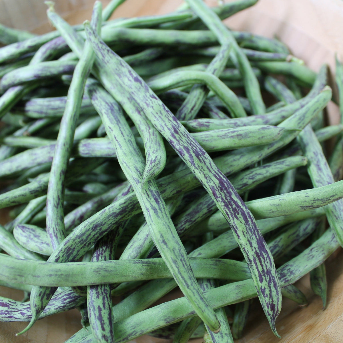 Rattlesnake Bean (Pole) by MIgardener