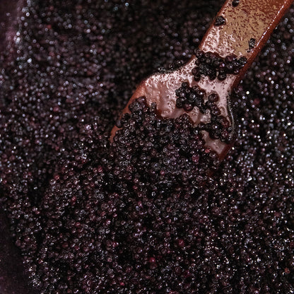 Wild Blueberry Preserve 10.8oz