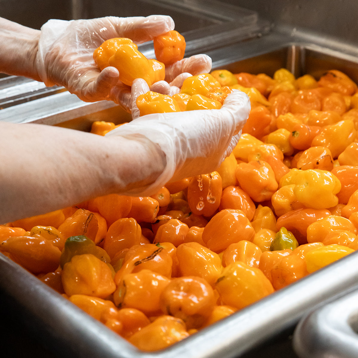Mango Habanero 10.8oz - FRESH JAM COMING SOON, image 11 of 17