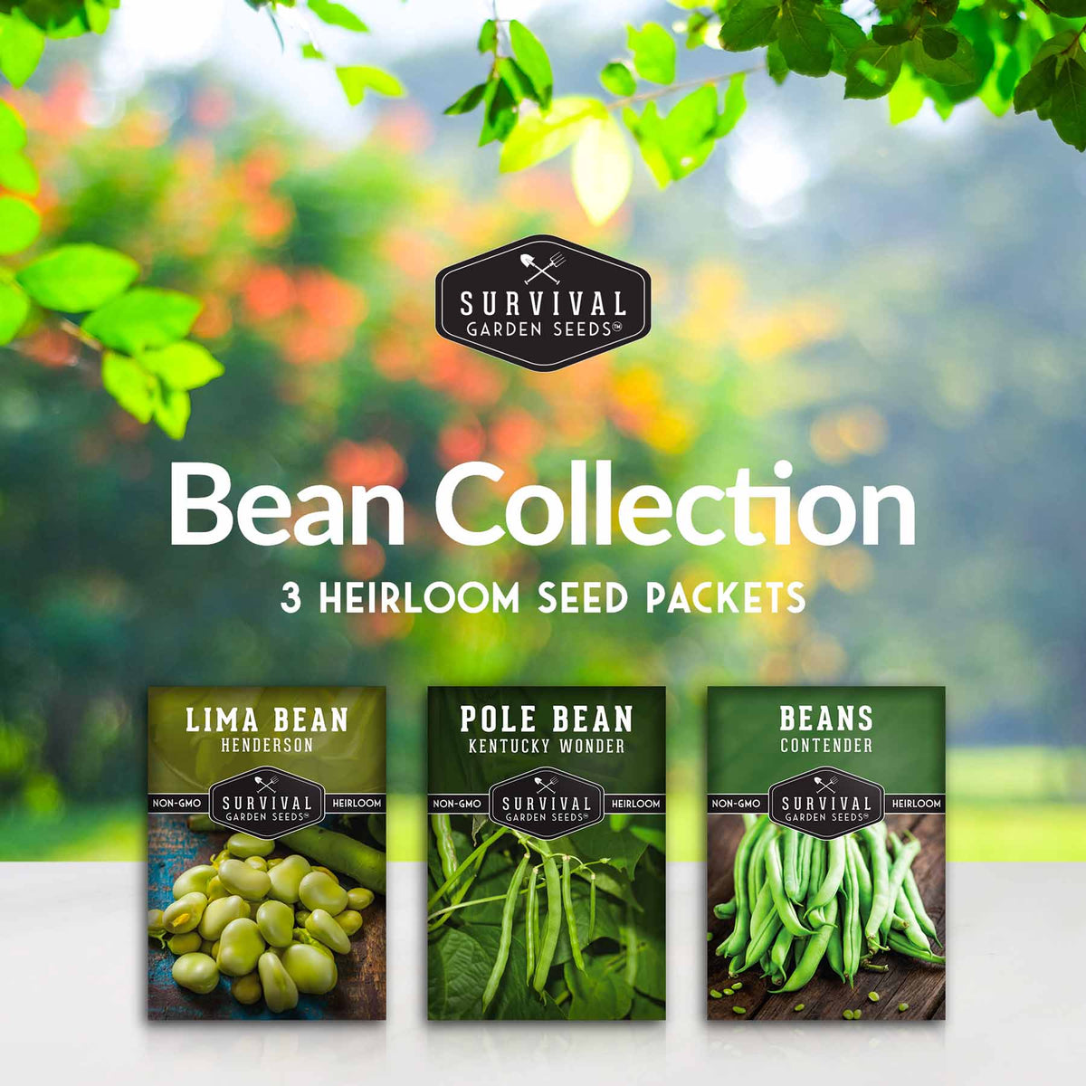 Bean Seed Collection – Contender Bush Beans, Kentucky Wonder Pole Beans & Henderson Lima Beans, image 2 of 5