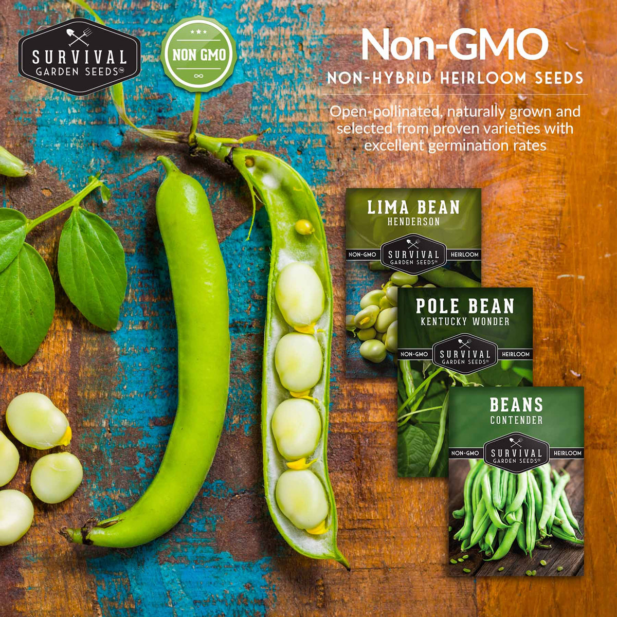 Bean Seed Collection – Contender Bush Beans, Kentucky Wonder Pole Beans & Henderson Lima Beans, image 5 of 5