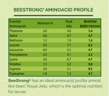 BeeStrong Bee Feed Liquid Concentrate-The Natural Colony Booster, image 9 of 11