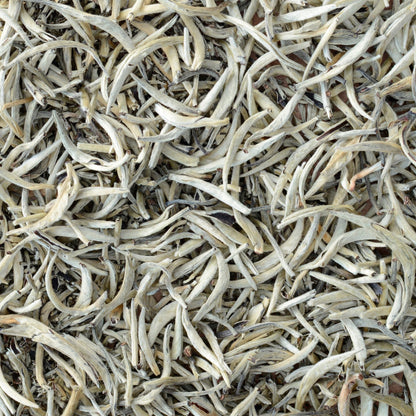 Ceylon Silver Tips Tea | Loose Leaf White Tea