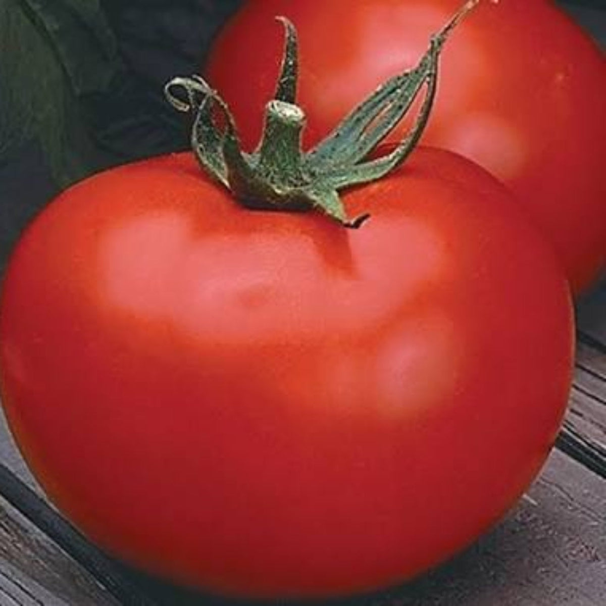 Better Boy Hybrid Tomato Seeds, image 2 of 6