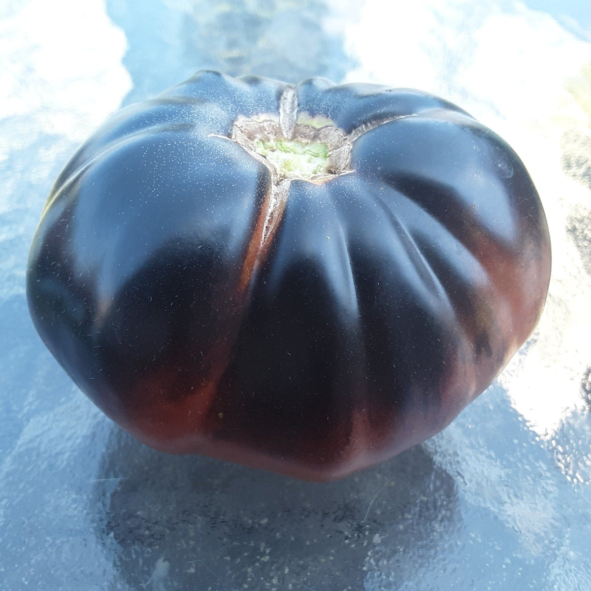 Black Beauty Slicing Tomato Seeds by Papaws Garden Supply