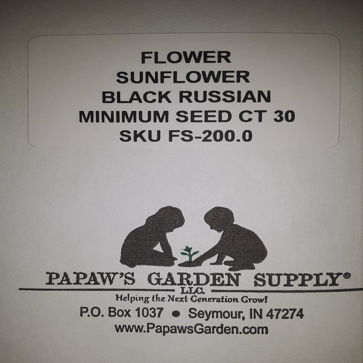 Black Russian Sunflower Seeds, image 3 of 5