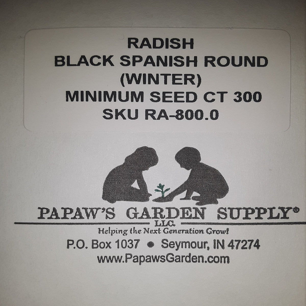 Black Spanish Round (Winter) Radish Seeds, image 3 of 5
