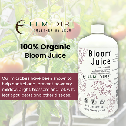 Bloom Juice Award-Winning Formula
