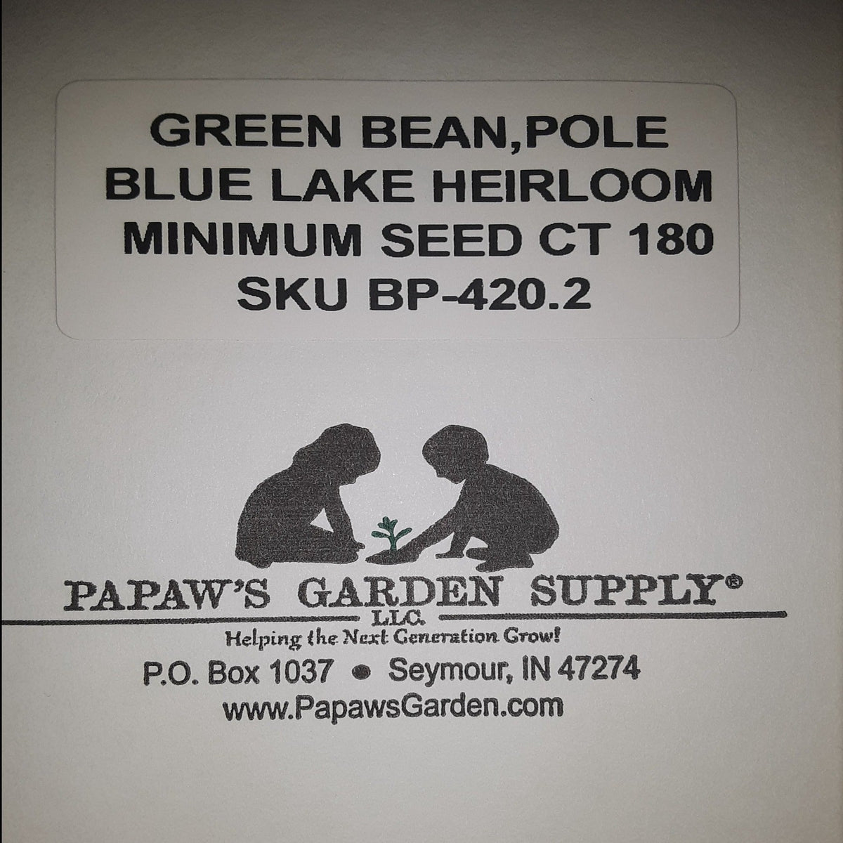 Heirloom Blue Lake Pole Bean Seeds, image 3 of 6