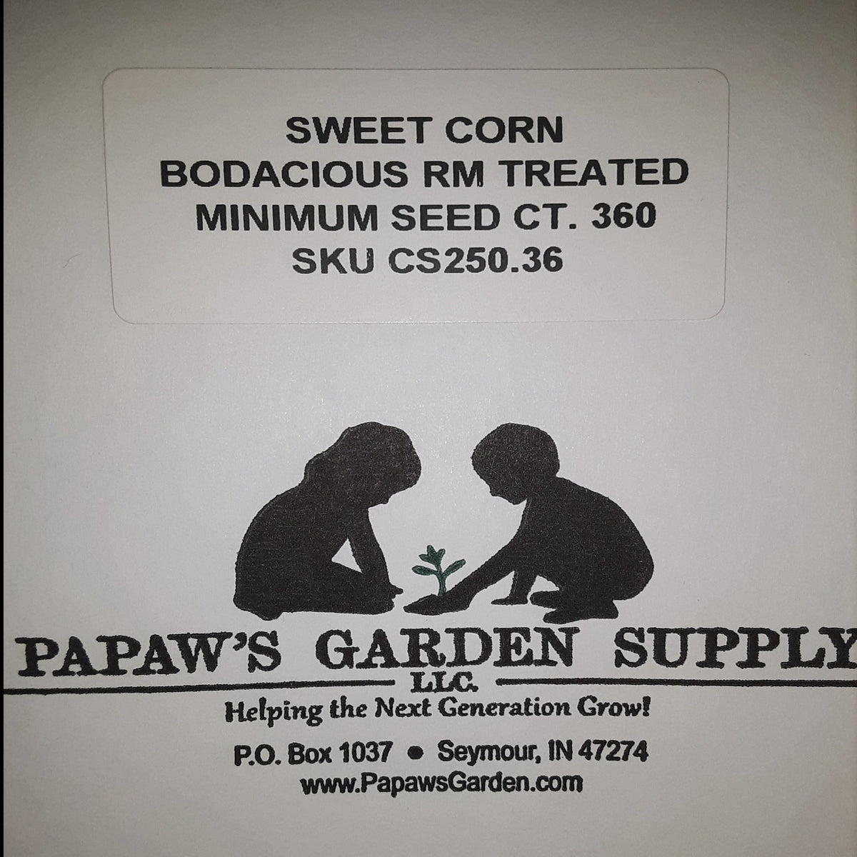 Bodacious RM Yellow Sweet Corn Treated Seeds, image 4 of 8