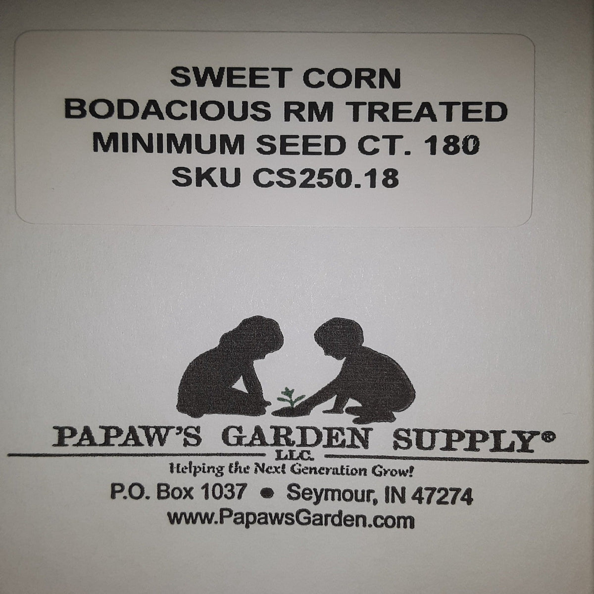 Bodacious RM Yellow Sweet Corn Treated Seeds, image 3 of 8