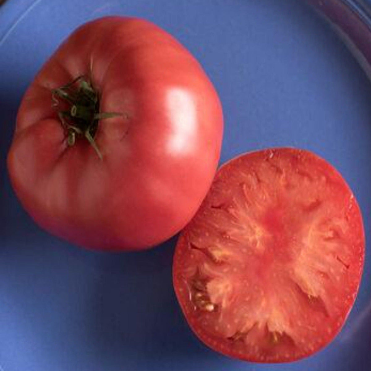 Brandywine Pink Heirloom Tomato Seeds by Papaws Garden Supply