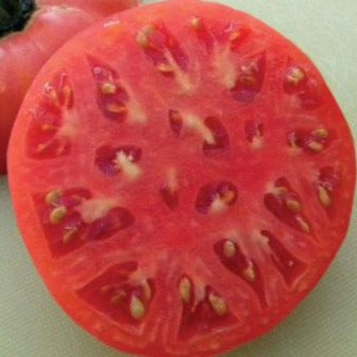 Brandywine Pink Heirloom Tomato Seeds, image 2 of 6