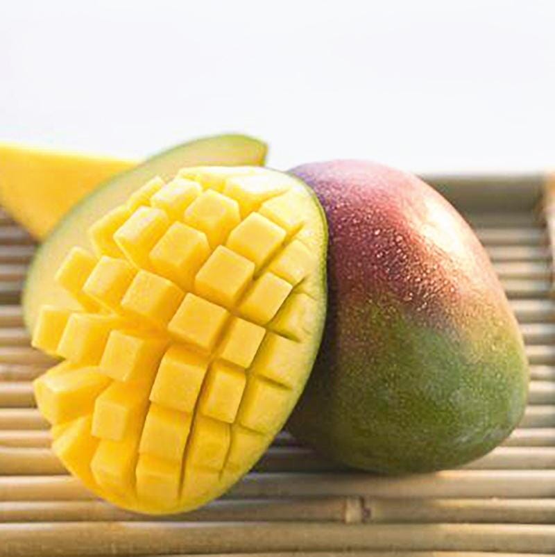 Carrie Dwarf Mango Tree Grafted, Fruit Trees from Everglades Farm