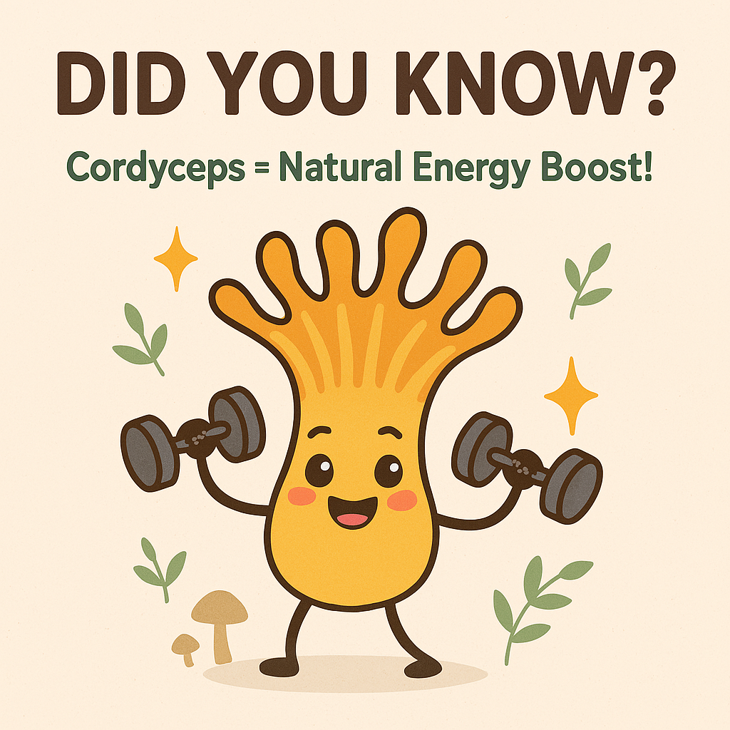 Mycomatrix Cordyceps Adaptogenic Mushroom Extract