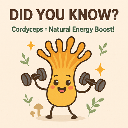 Mycomatrix Cordyceps Adaptogenic Mushroom Extract