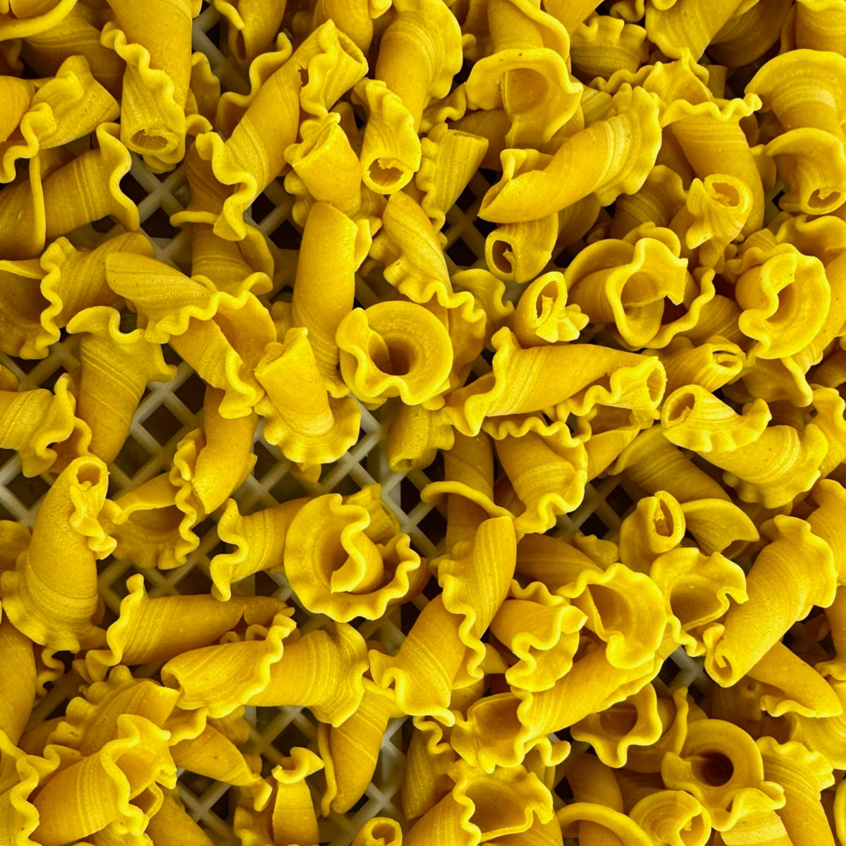 Bronze Die Fresh Campanelle Pasta, image 3 of 10
