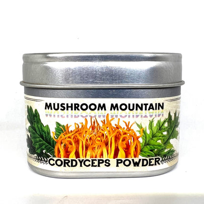 DRIED CORDYCEPS MUSHROOMS, Pantry from Mushroom Mountain