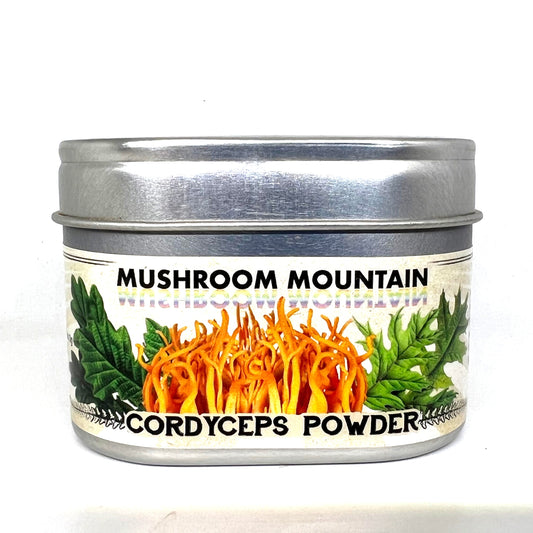 DRIED CORDYCEPS MUSHROOMS, Pantry from Mushroom Mountain