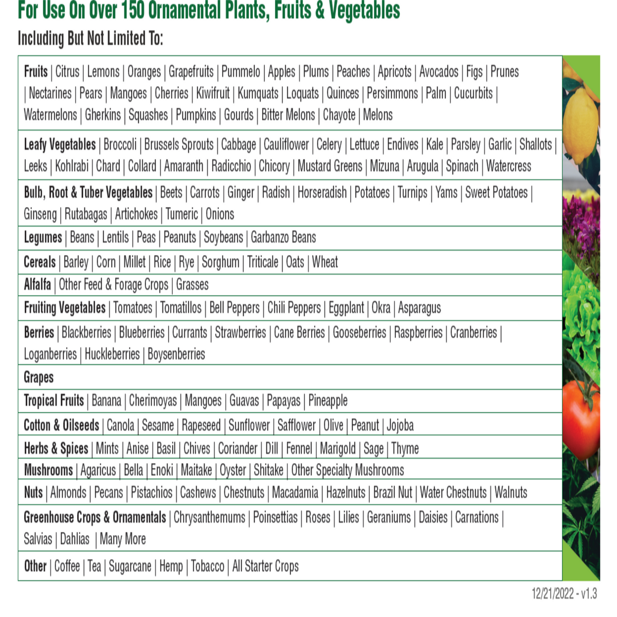 Debug Turbo 1QT Bottle Organic Use Pesticide, image 4 of 5