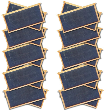 Deep 9 1/8-Inch Langsroth Frame, Grooved Top / Grooved Bottom With Double Wax Foundation