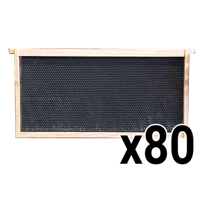 Deep 9 1/8-Inch Langsroth Frame, Grooved Top / Grooved Bottom With Double Wax Foundation