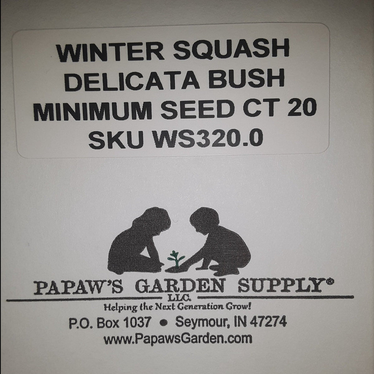 Delicata Bush Winter Squash Seeds, image 3 of 5