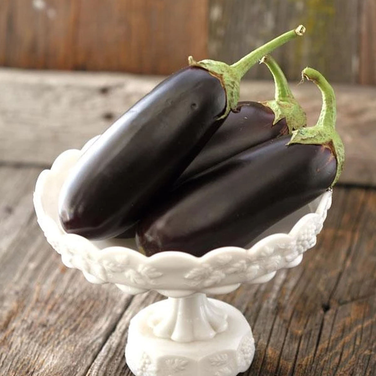 Diamond Eggplant by MIgardener