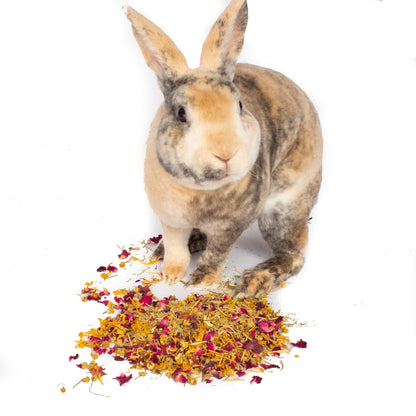 Bun's Rescue Rabbit Bakery Forage Herbs For Rabbits, Guinea Pigs, Hamsters, Chinchillas, & Other Small Animals from Dahlia Pets