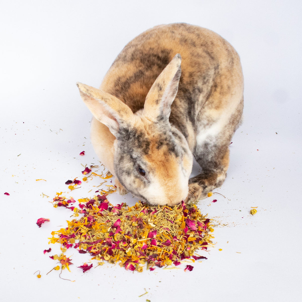 Bun's Rescue Rabbit Bakery Forage Herbs For Rabbits, Guinea Pigs, Hamsters, Chinchillas, & Other Small Animals from Dahlia Pets