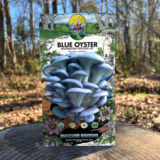 Oyster Mushroom Fruiting Kit - (Pleurotus spp.), Garden from Mushroom Mountain
