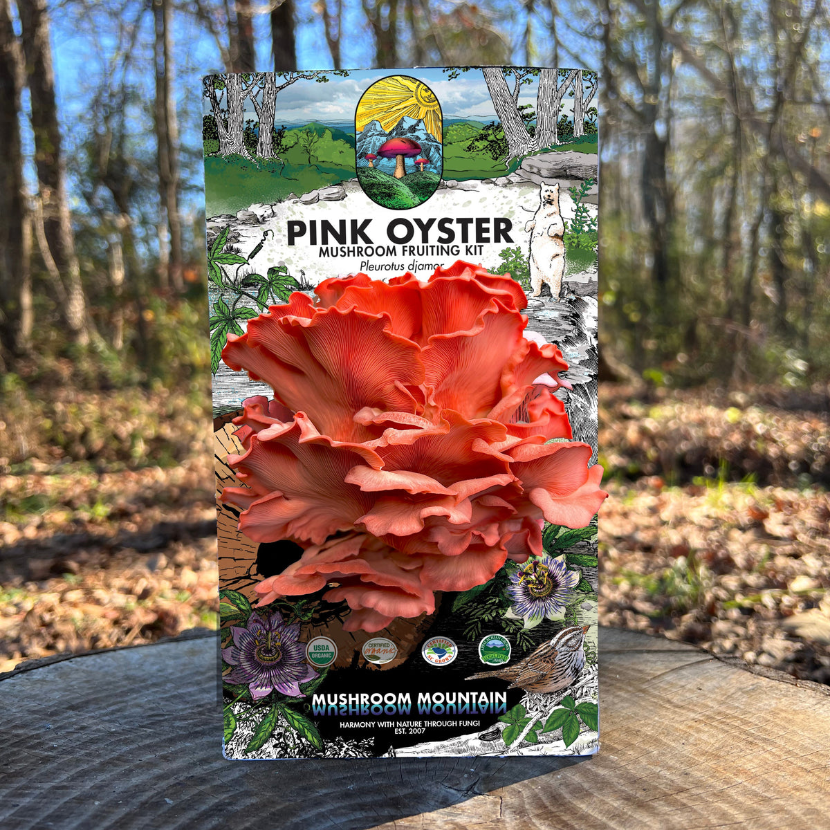 Oyster Mushroom Fruiting Kit - (Pleurotus spp.), Garden from Mushroom Mountain