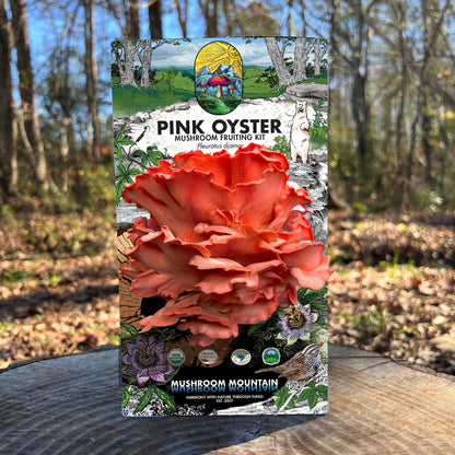 Oyster Mushroom Fruiting Kit - (Pleurotus spp.), Garden from Mushroom Mountain