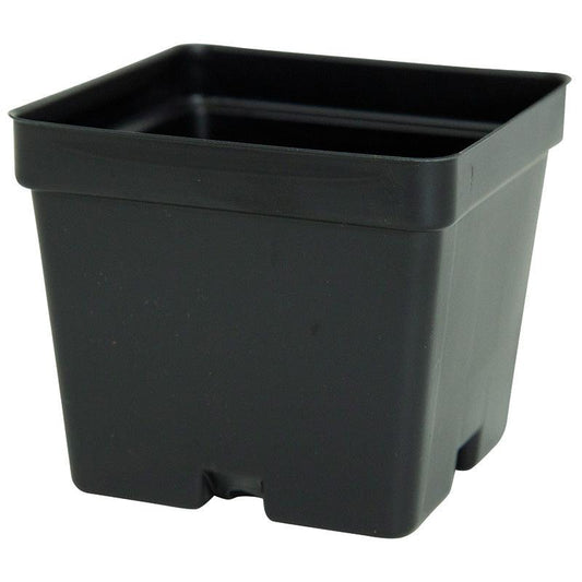Square Plastic Pots - 4", Garden from Grow Organic