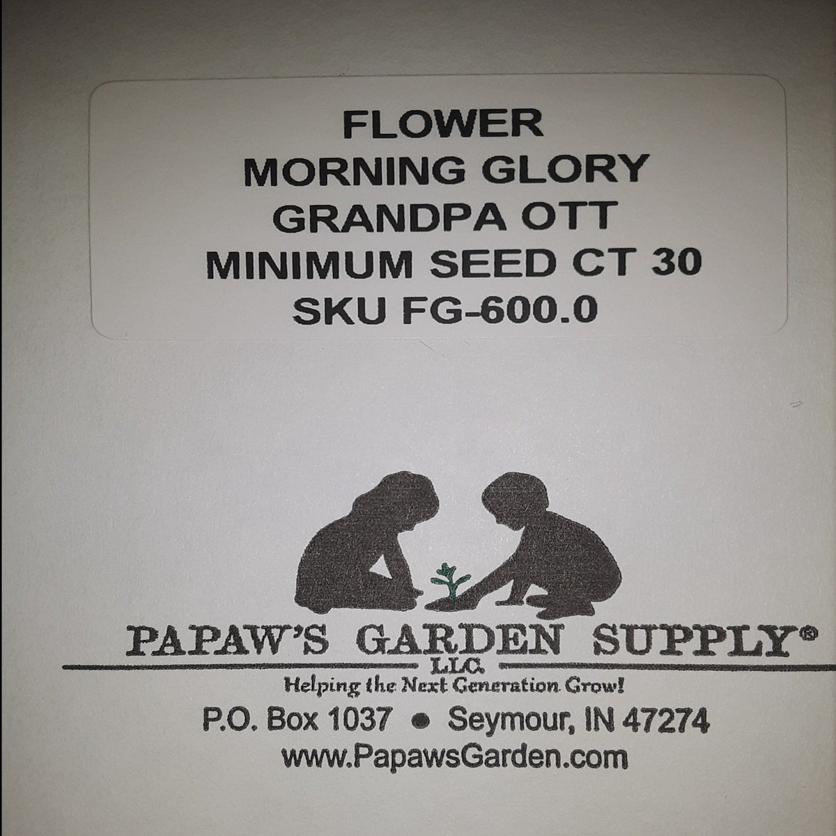 Grandpa Ott Morning Glory Vining Flower Seeds., image 3 of 5