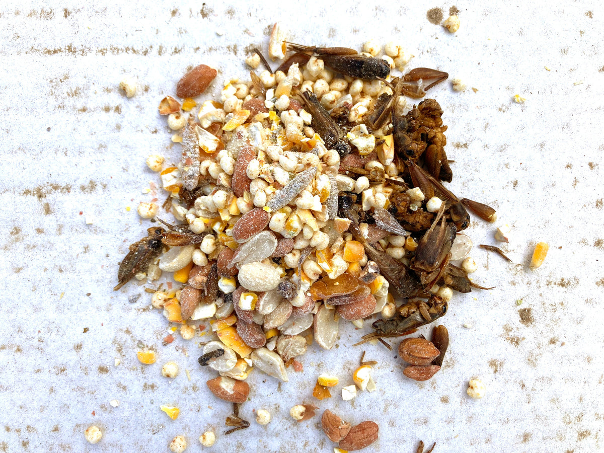 Henergy Textured Treat: Makes Cooped Chickens Happy! from Dahlia Pets