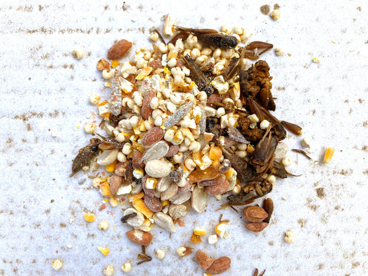Henergy Textured Treat: Makes Cooped Chickens Happy! from Dahlia Pets