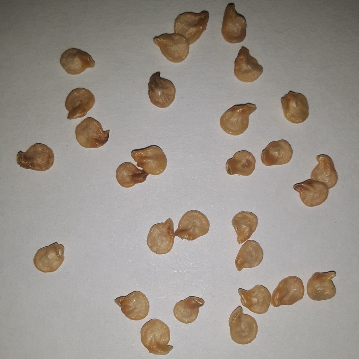 Habanero Orange VERY HOT Pepper Seeds, image 2 of 5