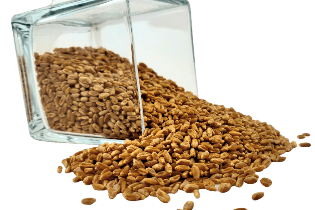 Wheat Berries, Hard Red, Winter Wheat, Wheat Montana from Country Life Natural Foods
