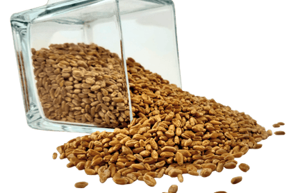 Wheat Berries, Hard Red, Winter Wheat, Wheat Montana from Country Life Natural Foods